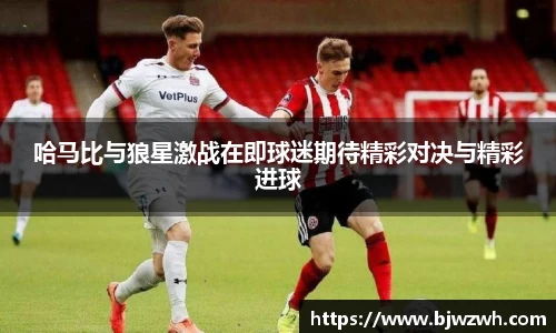 米乐YY易游